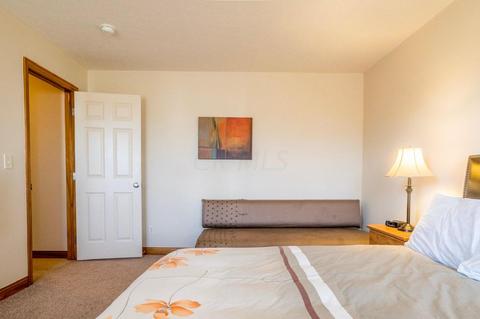 208 Emerald Ice Loop, Delaware, OH 43015 photo 51