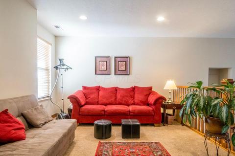 208 Emerald Ice Loop, Delaware, OH 43015 photo 19