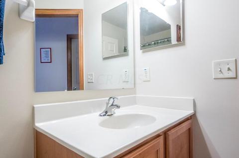 208 Emerald Ice Loop, Delaware, OH 43015 photo 58