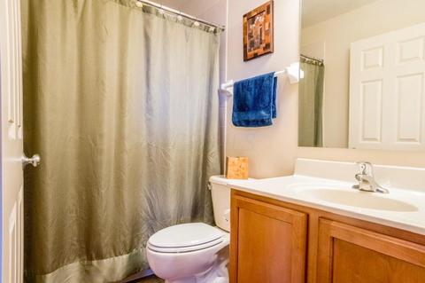208 Emerald Ice Loop, Delaware, OH 43015 photo 69