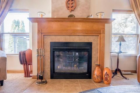208 Emerald Ice Loop, Delaware, OH 43015 photo 21