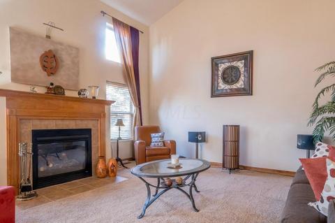 208 Emerald Ice Loop, Delaware, OH 43015 photo 12