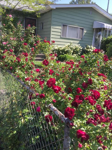 510 E Moler St, Columbus, OH 43207 photo 19