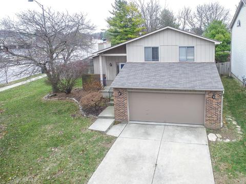 5706 Keating Dr, Dublin, OH 43016 photo 1