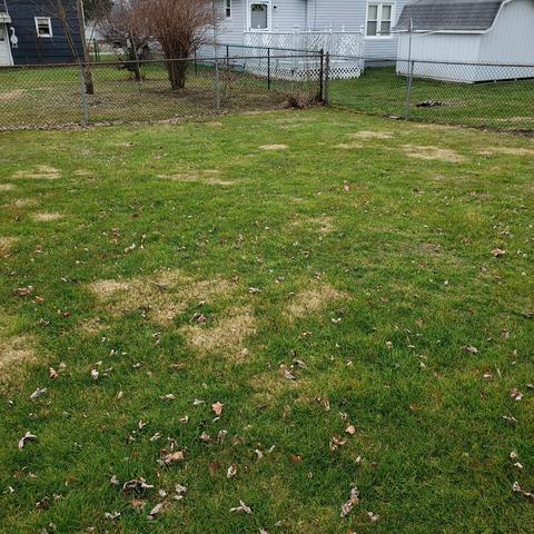 265 Lewis Rd, Circleville, OH 43113 photo 20