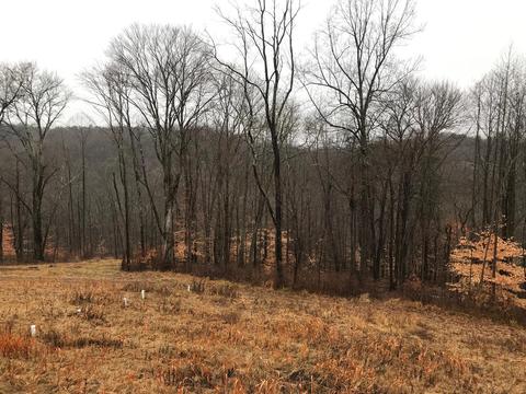 10350 Ellinger Rd, Logan, OH 43138 photo 7