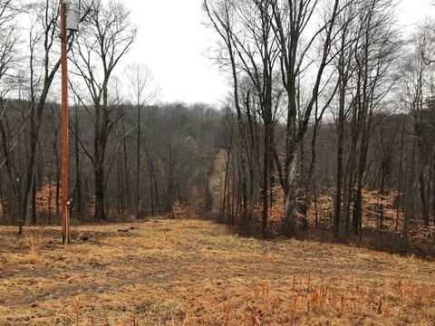 10350 Ellinger Rd, Logan, OH 43138 photo 2