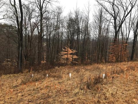 10350 Ellinger Rd, Logan, OH 43138 photo 3