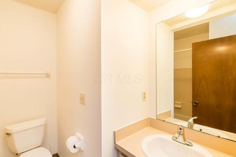 6308 Bannister Dr, Dublin, OH 43017 photo 21