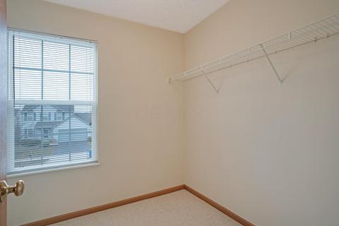 219 Brenden Loop, Delaware, OH 43015 photo 43