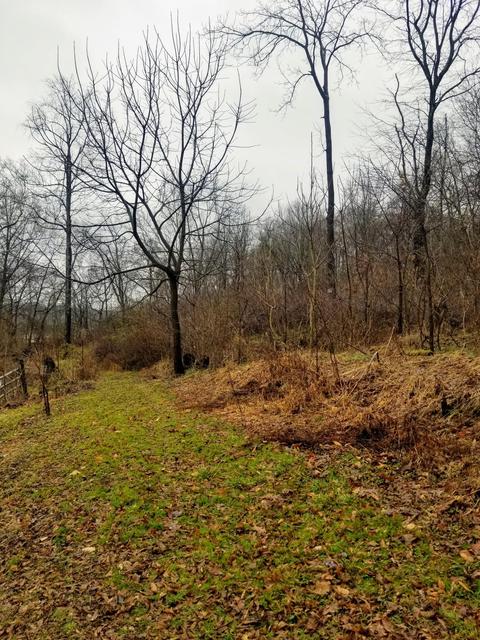 600 Spring St, Lancaster, OH 43130 photo 22