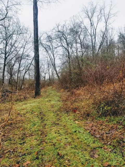 600 Spring St, Lancaster, OH 43130 photo 24