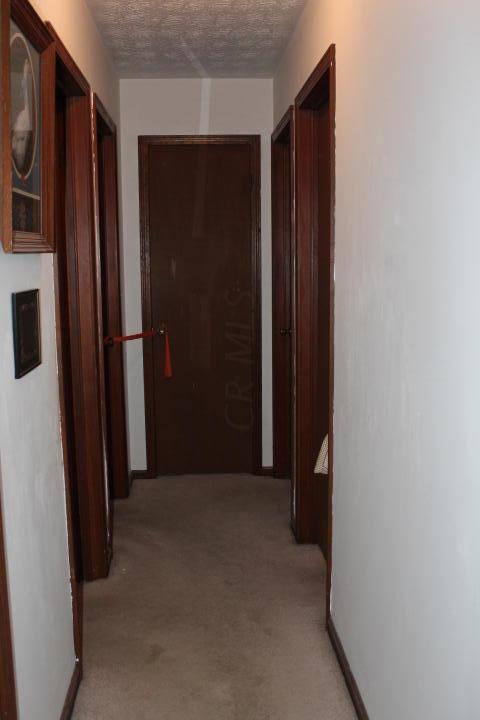 125 Rustic Dr, Circleville, OH 43113 photo 6