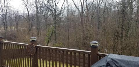 161 Deer Path Ct, Pataskala, OH 43062 photo 29