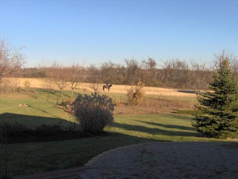 5202 Flatfoot Rd, Cable, OH 43009 photo 60