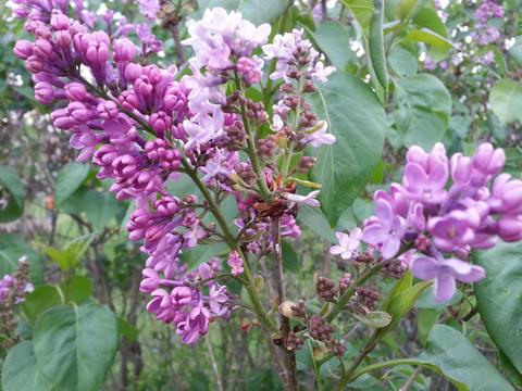 5202 Flatfoot Rd, Cable, OH 43009 photo 76