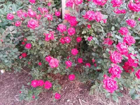 5202 Flatfoot Rd, Cable, OH 43009 photo 77