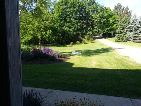 5202 Flatfoot Rd, Cable, OH 43009 photo 56
