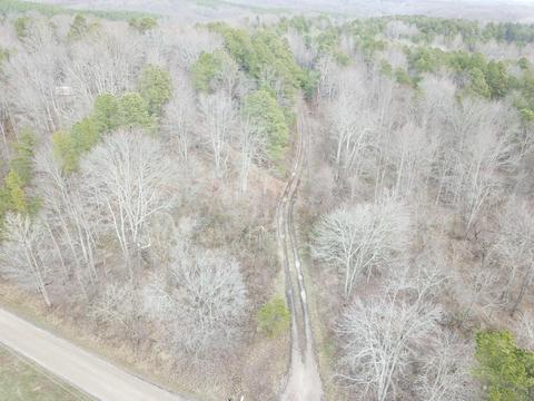 35928 Fairview Rd, Ray, OH 45672 photo 33