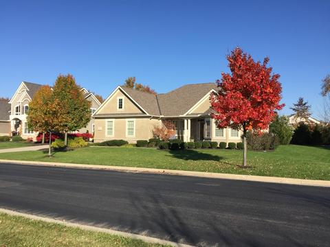 8917 Shaffer Dr, Powell, OH 43065 photo 104