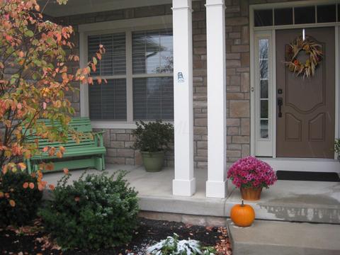 8917 Shaffer Dr, Powell, OH 43065 photo 107