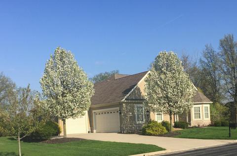 8917 Shaffer Dr, Powell, OH 43065 photo 108