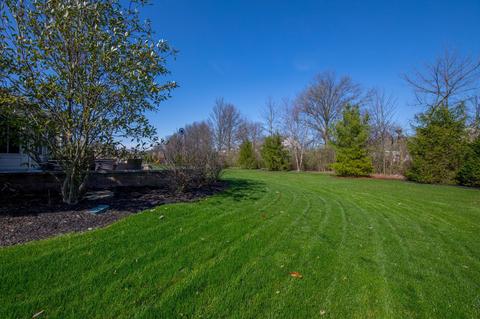 8917 Shaffer Dr, Powell, OH 43065 photo 97