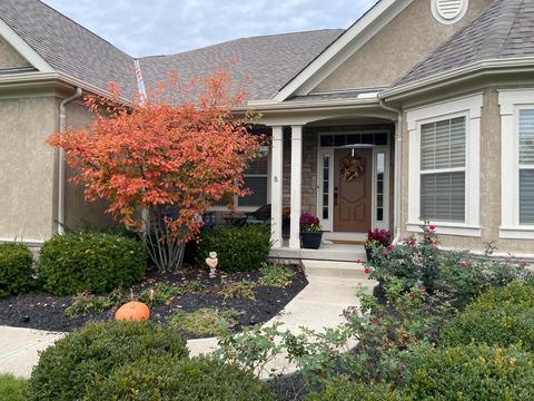 8917 Shaffer Dr, Powell, OH 43065 photo 106