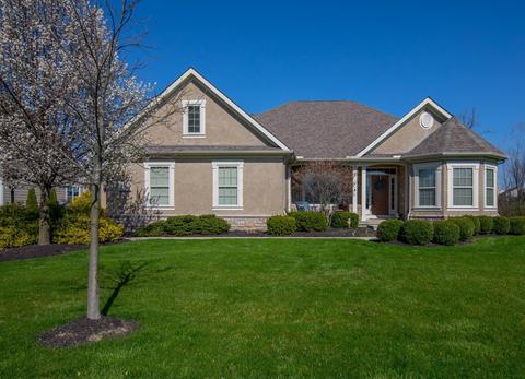 8917 Shaffer Dr, Powell, OH 43065 photo 100