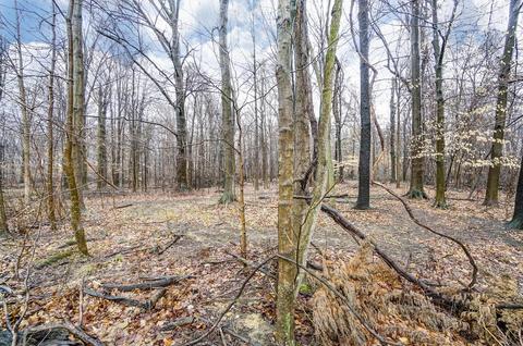 287 Haystack Ave, Pataskala, OH 43062 photo 50