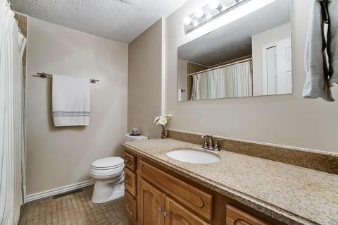 1783 Darrow Dr, Powell, OH 43065 photo 22
