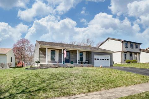 8723 Ripton Dr, Powell, OH 43065 photo 4