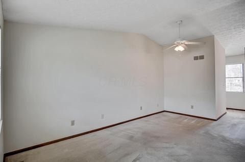 7008 Carrick Ct, Dublin, OH 43017 photo 16