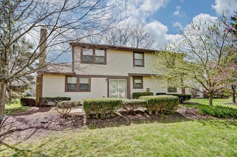 7008 Carrick Ct, Dublin, OH 43017 photo 28