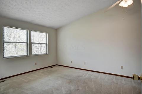 7008 Carrick Ct, Dublin, OH 43017 photo 14