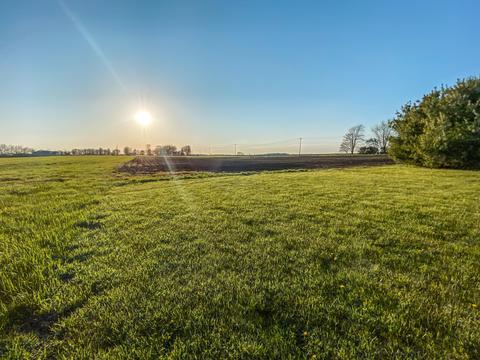 8517 Scioto Darby Rd, Orient, OH 43146 photo 98