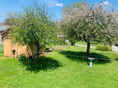 1264 Trimmer St, Logan, OH 43138 photo 4