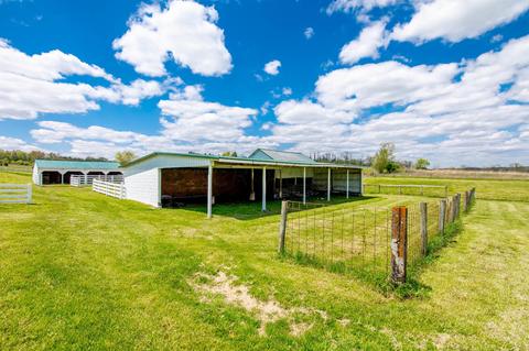 12540 E State Route 56, Circleville, OH 43113 photo 122
