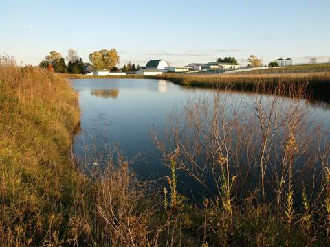 12540 E State Route 56, Circleville, OH 43113 photo 134