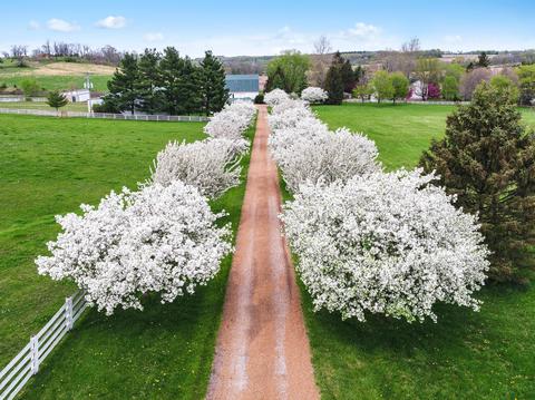 12540 E State Route 56, Circleville, OH 43113 photo 13