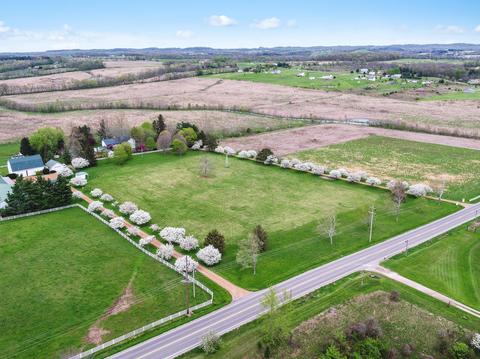 12540 E State Route 56, Circleville, OH 43113 photo 14