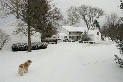 12540 E State Route 56, Circleville, OH 43113 photo 8