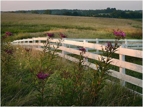 12540 E State Route 56, Circleville, OH 43113 photo 133