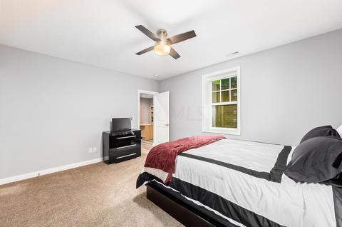 6715 Winemack Loop, Dublin, OH 43016 photo 50