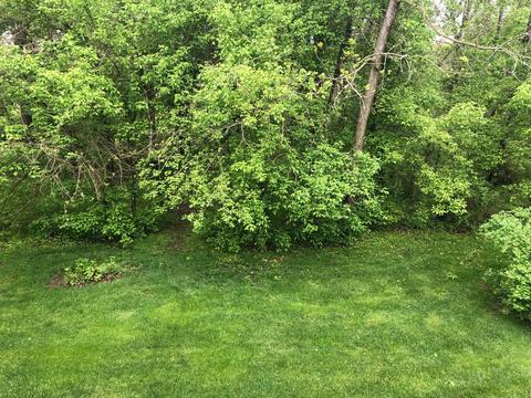1803 Declaration Dr, Lancaster, OH 43130 photo 38
