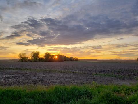 10565 Irwin Rd, Irwin, OH 43029 photo 21