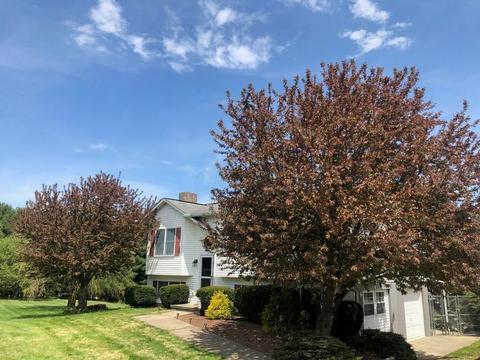 6172 Limerick Rd, Jackson, OH 45640 photo 3