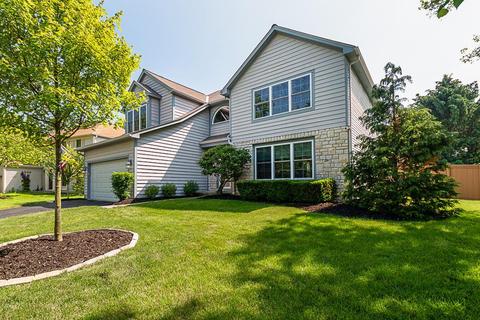 7410 Mapleleaf Blvd, Columbus, OH 43235 photo 2