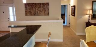 4839 Rays Cir, Dublin, OH 43016 photo 8