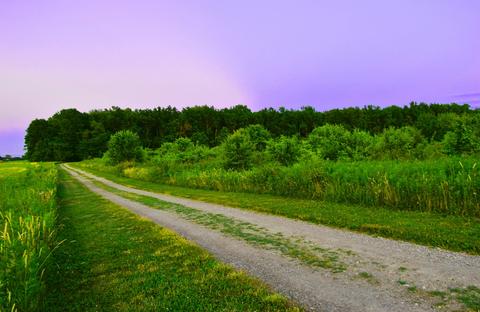 15080 Robins Rd, Johnstown, OH 43031 photo 47